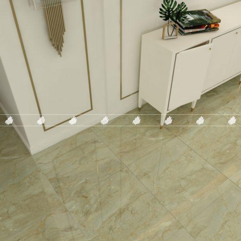 Gạch Đồng Tâm 6060TRANGAN002-FP